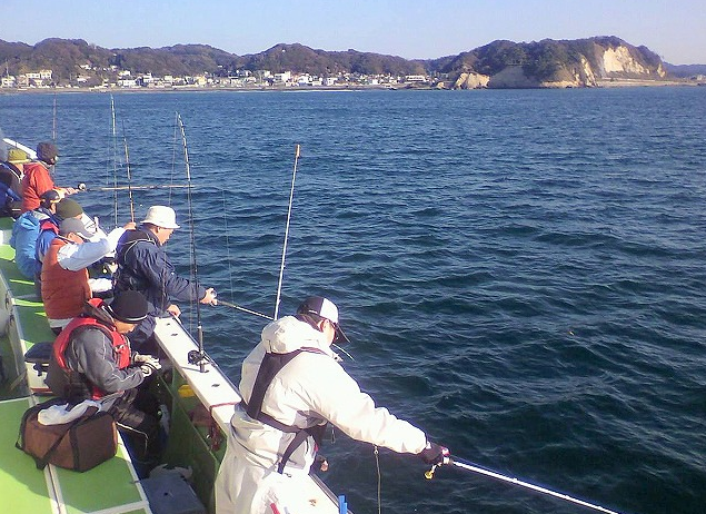 魚のアップ写真