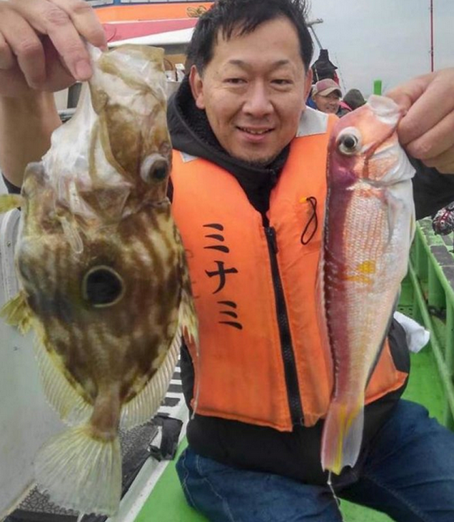 魚のアップ写真