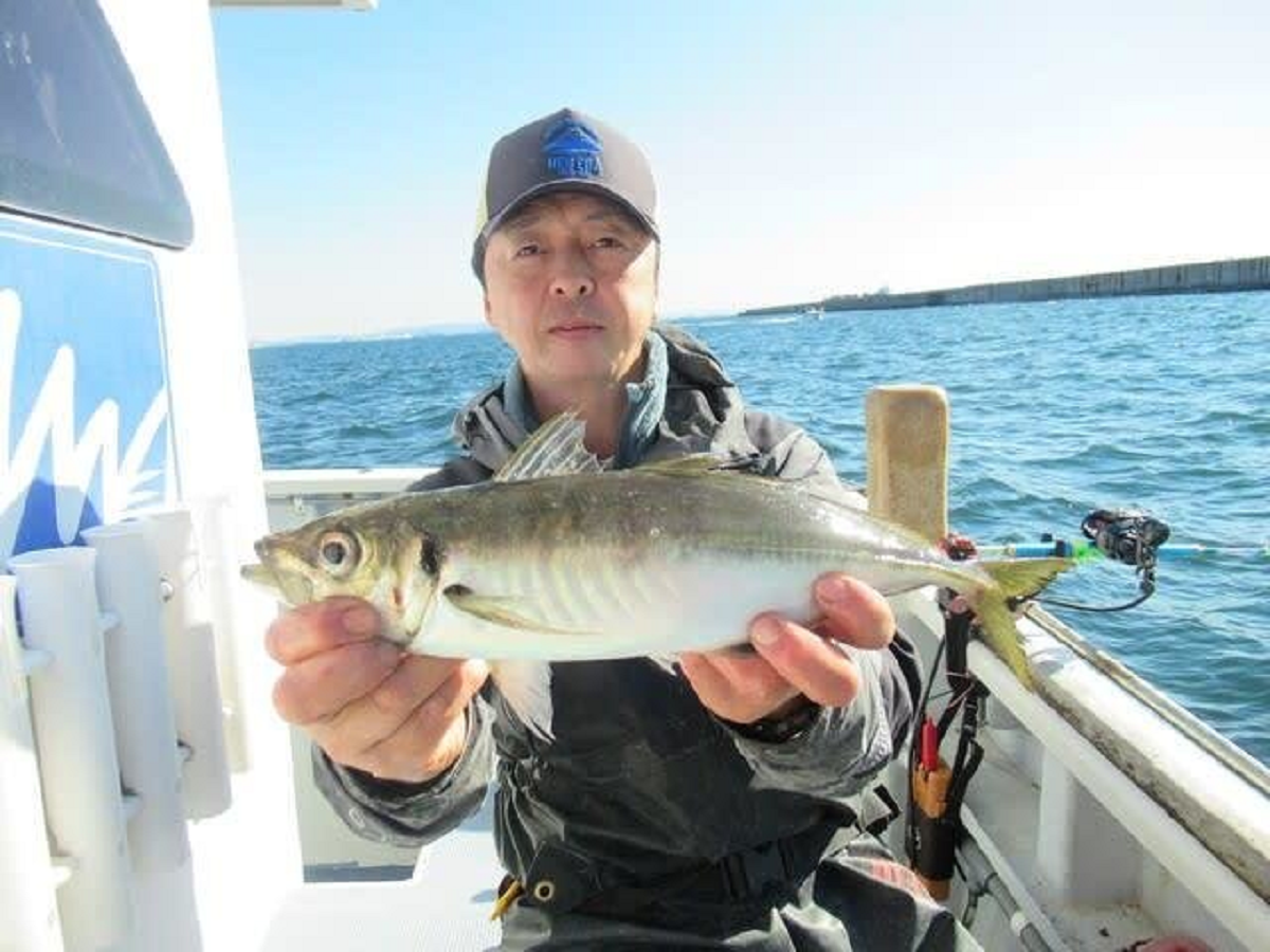 【釣果速報】神奈川県長崎屋のアジの釣果がバズってる!竿頭148匹!釣れすぎて笑いが止まらない釣行を体験してみませんか?