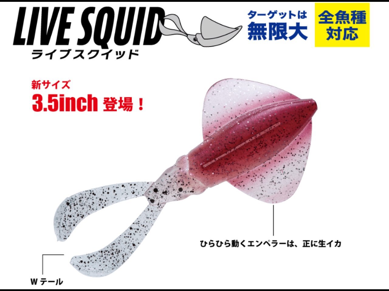 【新製品速報】メジャークラフトからライブスクイッド　新サイズが発売開始！