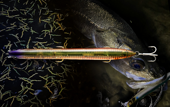 魚とルアーのアップ写真