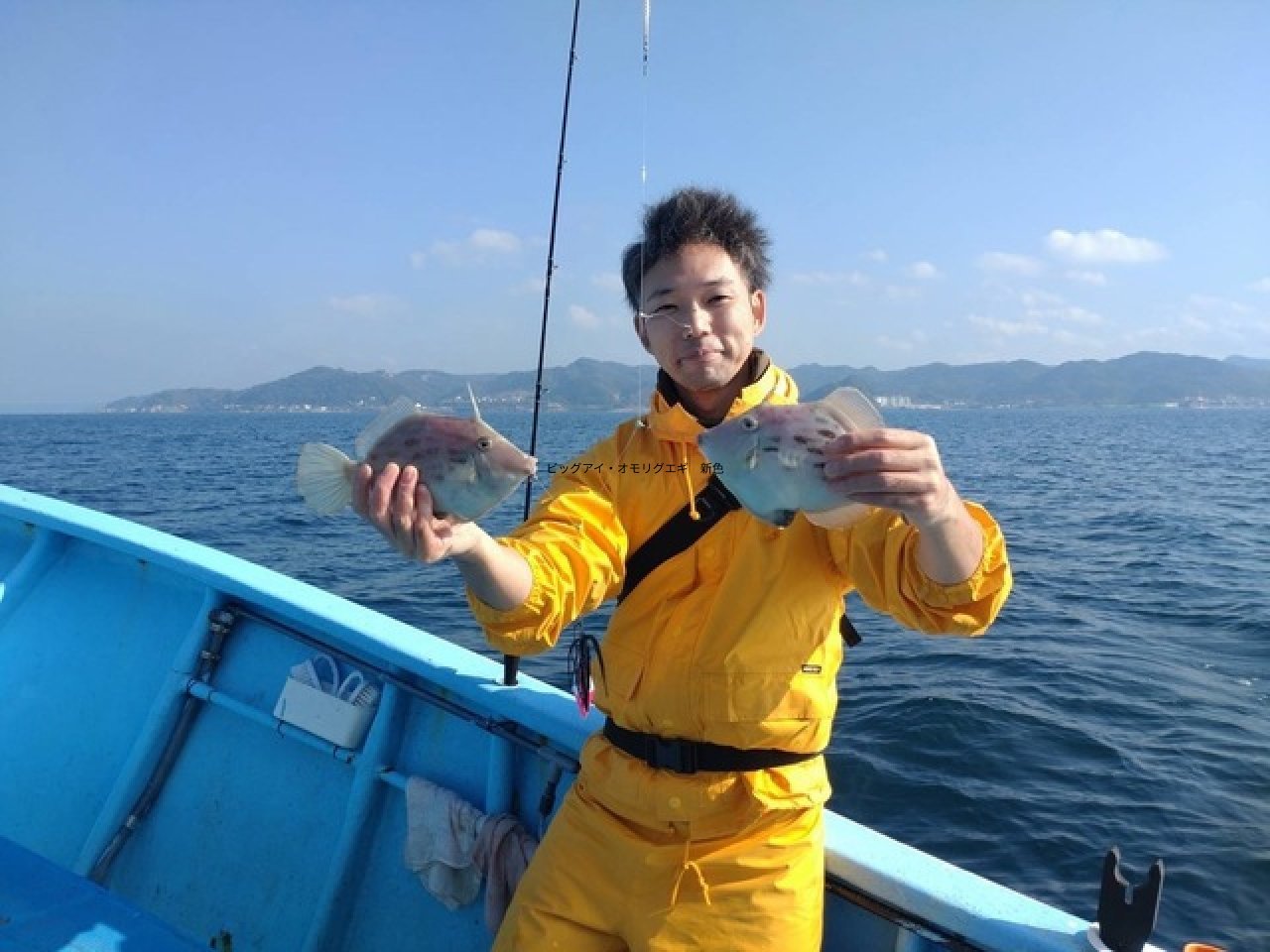 【釣果速報】千葉県福丸でカワハギがバズる！トップは36枚！サイズも最大28cm！数もサイズも記録更新したいなら今スグの乗船がおすすめ！