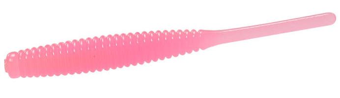 ワームのアップ写真