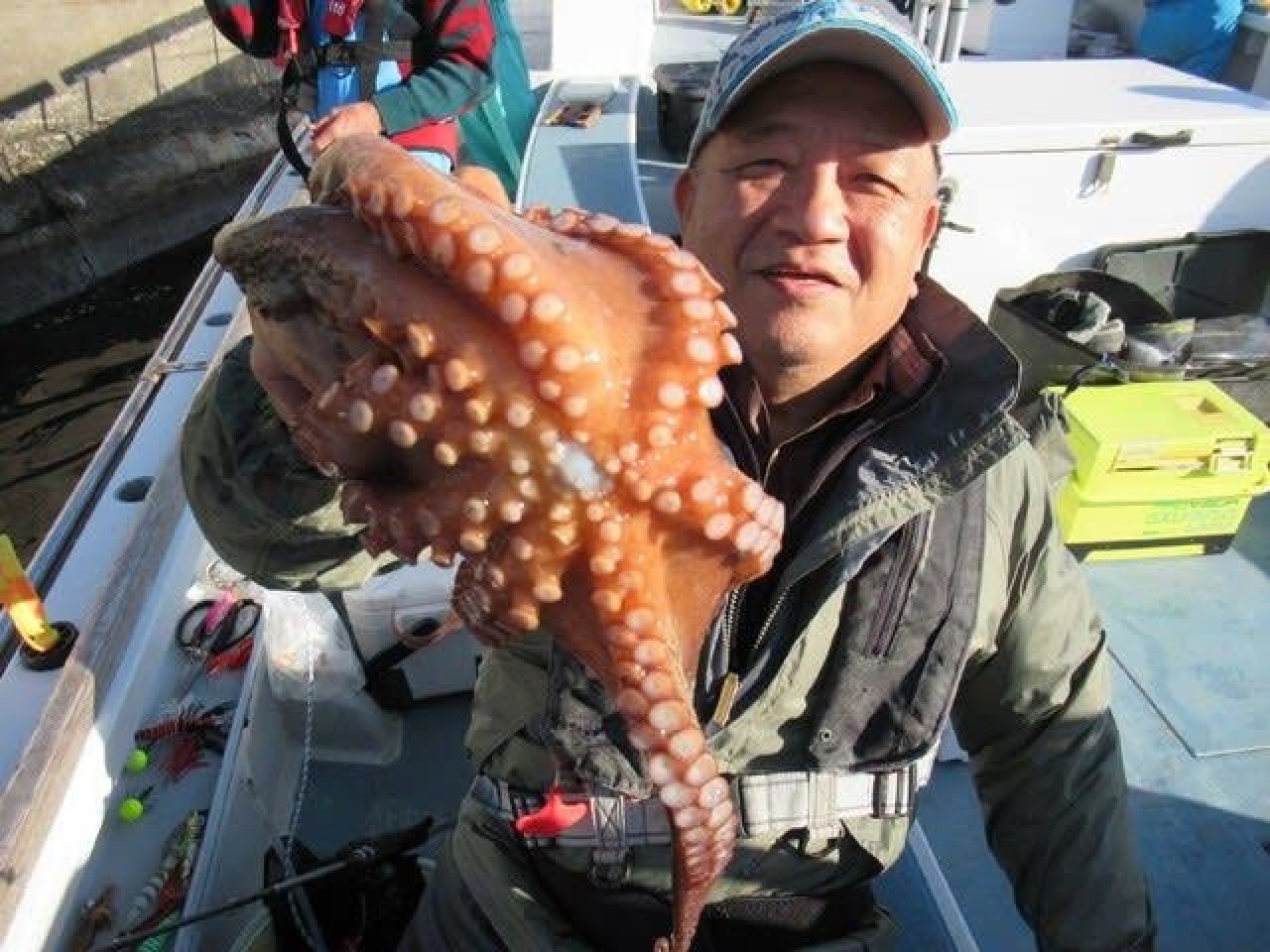 【釣果速報】神奈川県長崎屋でダイナミックな1.7kgマダコをキャッチ!好調な今、良型を狙いに行こう!