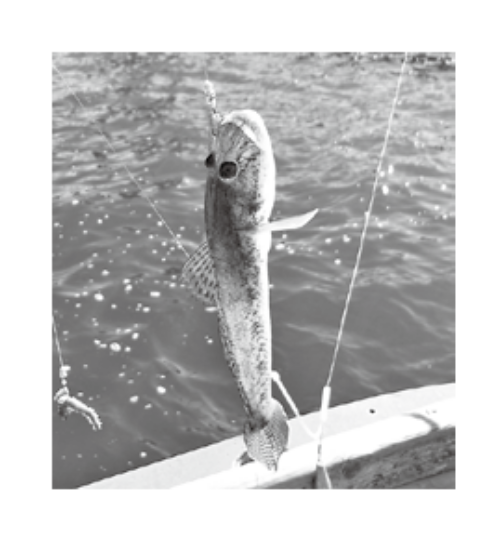 専用　手作り　竹製　釣り竿　ハゼ、雑魚釣り hq720.jpg?sqp=-