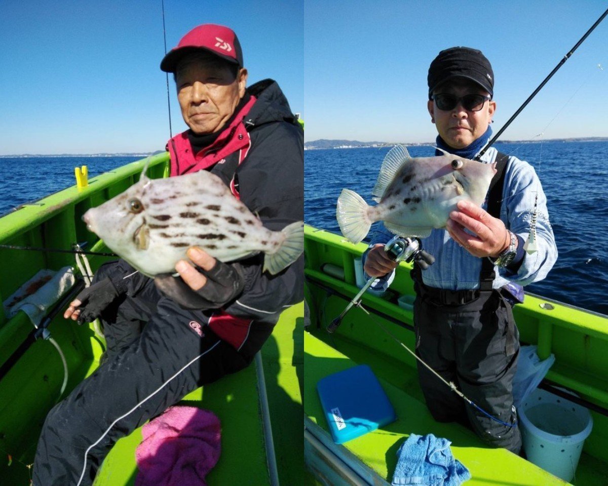 【釣果速報】神奈川県五エム丸でアオリイカ全員ゲット！実績“お墨付き”の船で高級イカをゲットしよう！