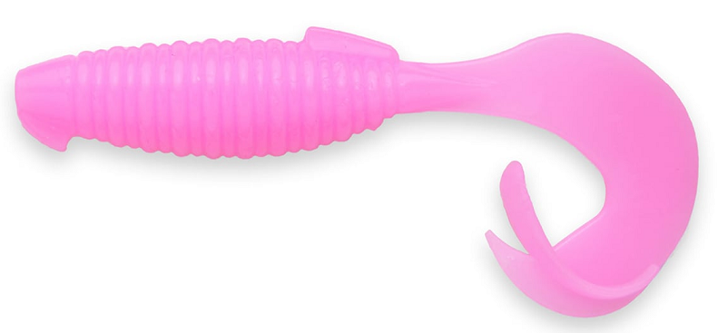 ワームのアップ写真