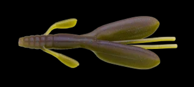 ワームのアップ写真