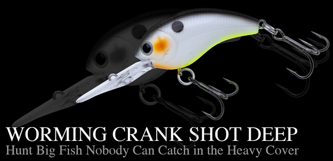 ルアーのアップ写真