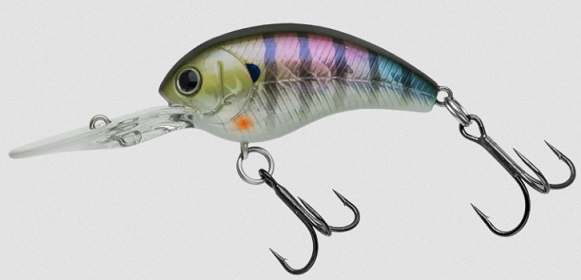 ルアーのアップ写真