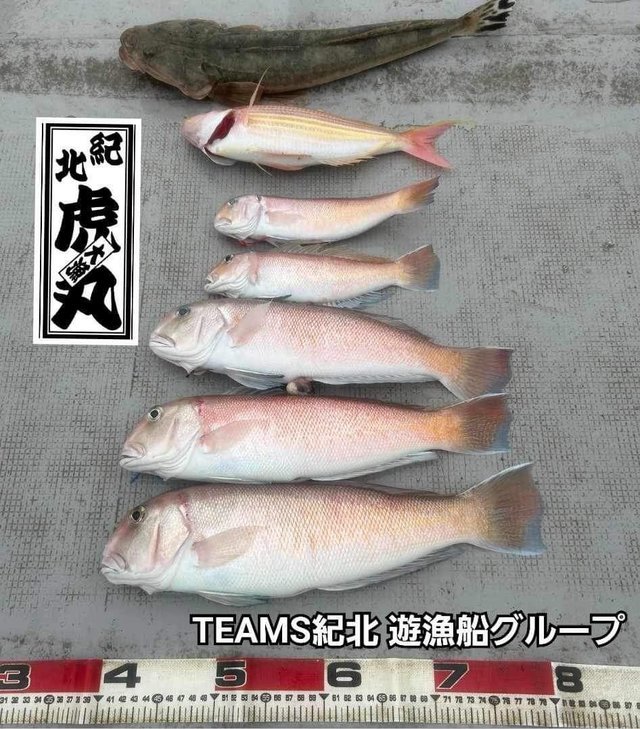 釣果
