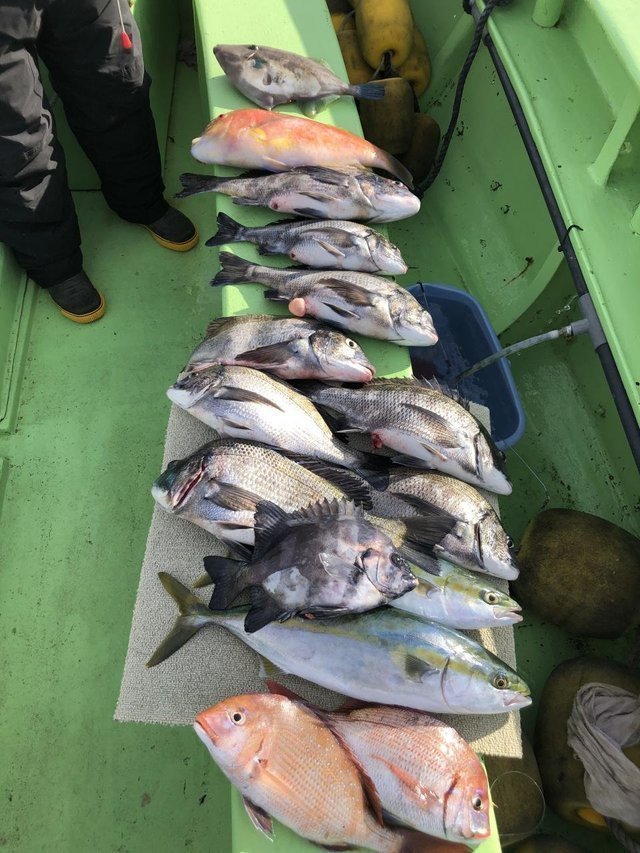 釣果