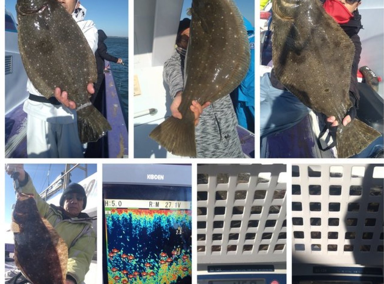 【釣果速報】千葉県春栄丸で獲れるヒラメがデカい!2kg前後の良型多く、4.5kgの超大型も!さあ、ビッグドリームを掴みに行こう!