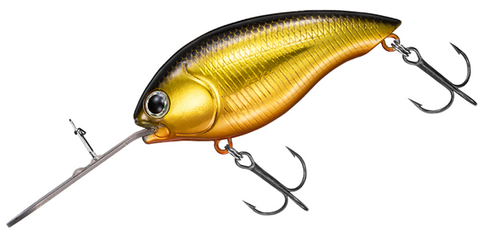 ルアーのアップ写真