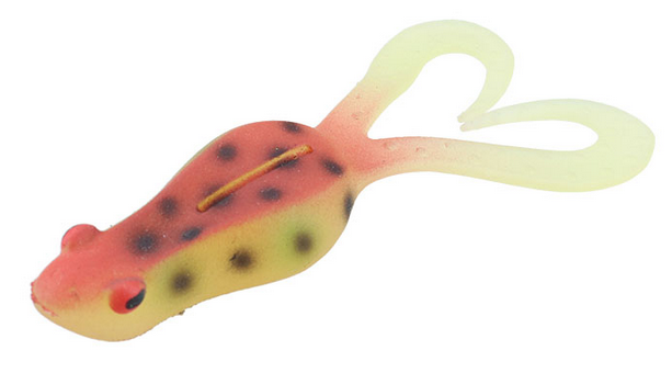 ワームのアップ写真