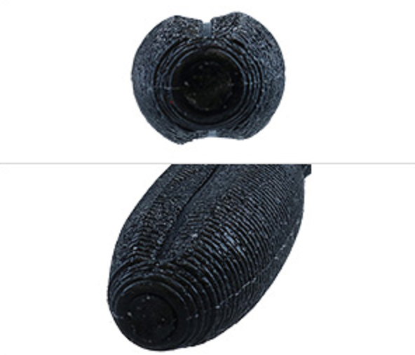 ワームのアップ写真