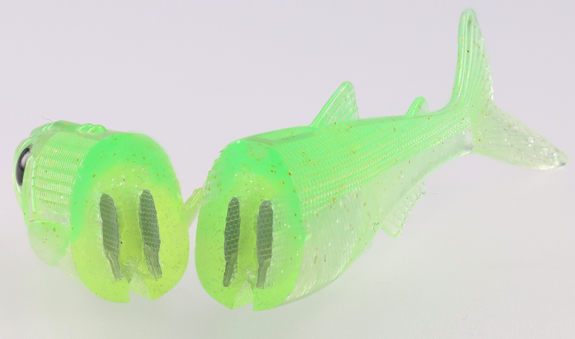 ワームの断面写真