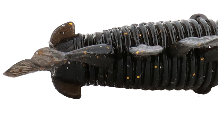 ワームのアップ写真