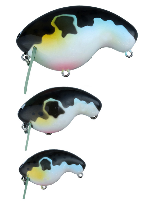 tpc20202-4.png