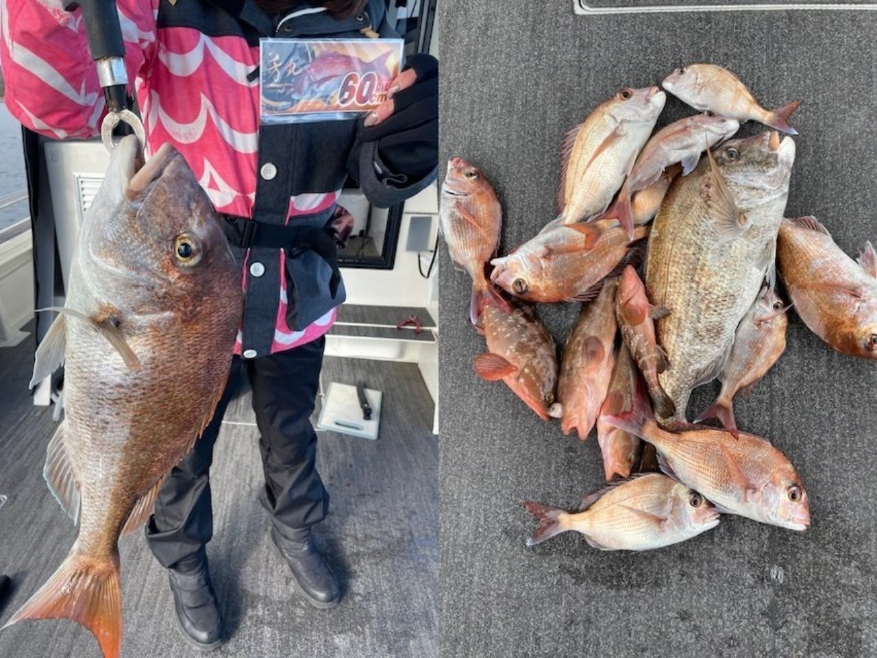 【釣果速報】広島県芳丸で乗客全員マダイGET！サイズも最大67cmと迫力サイズが登場！予約必須です！