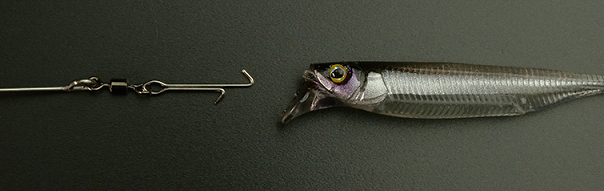 ルアーのアップ写真