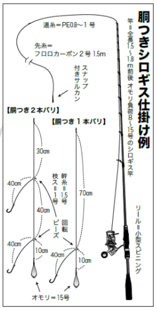 中ノ瀬の浅場で狙える東京湾のシロギスが熱い