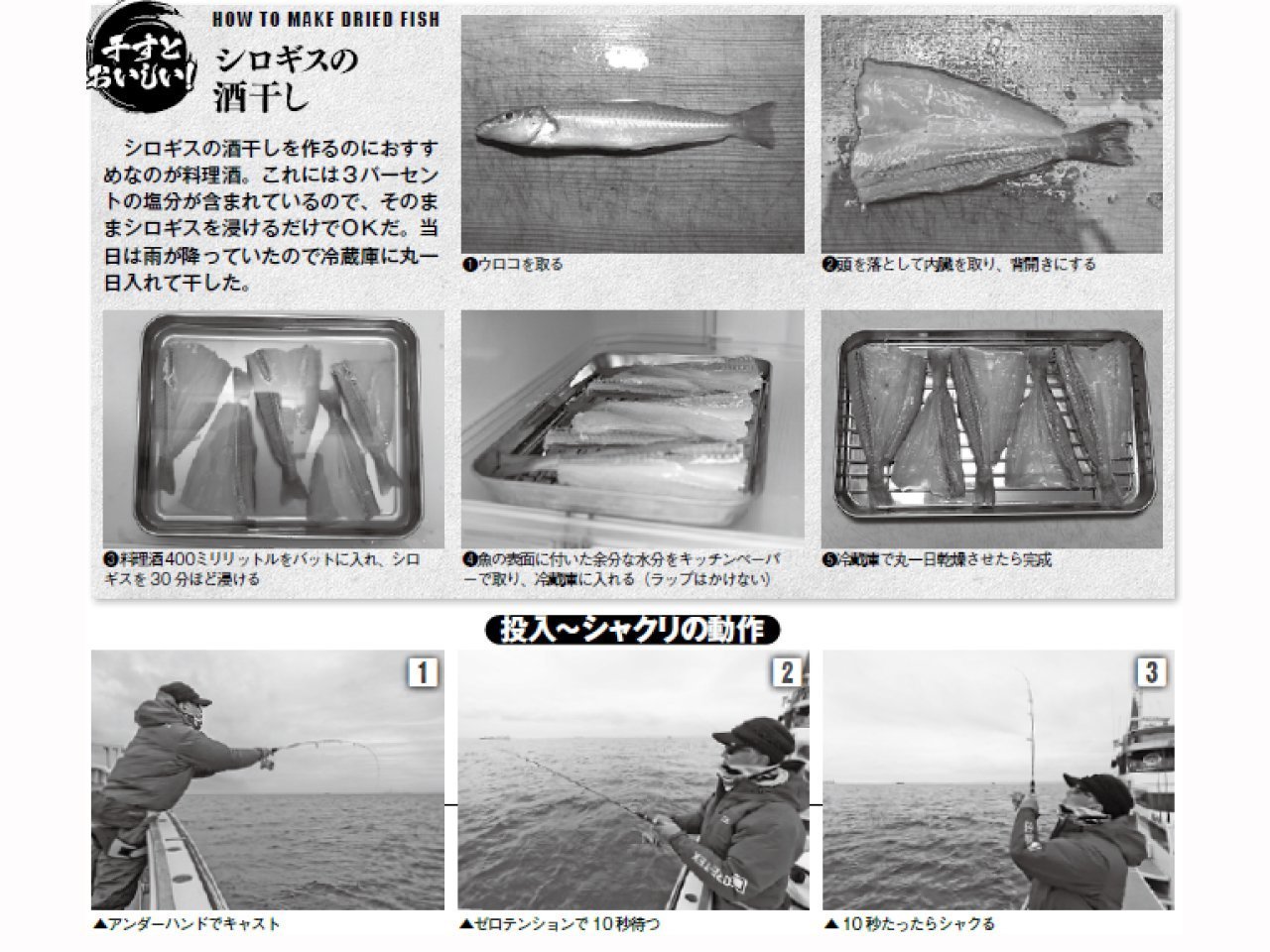 シロギスの酒干し