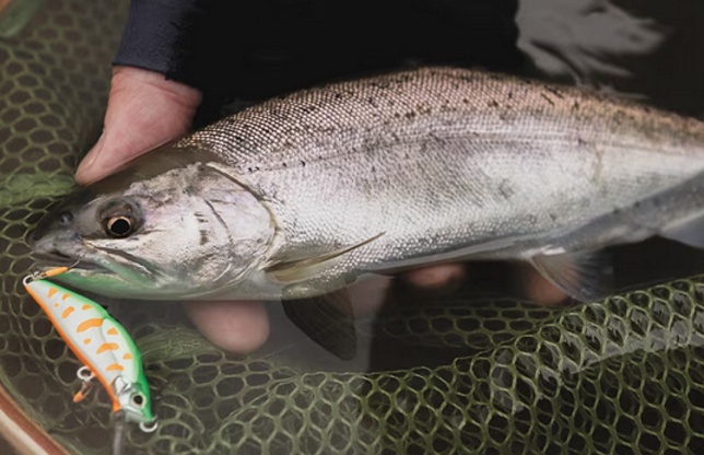 魚とルアーのアップ写真