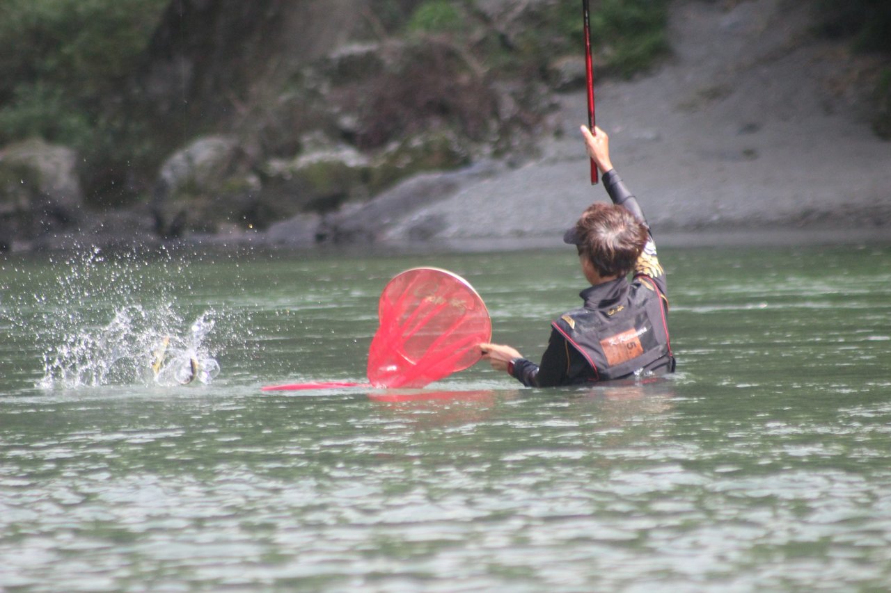 北村憲一が高知・仁淀川の友釣りで見せた。大河川でも8.5m竿がオススメな理由