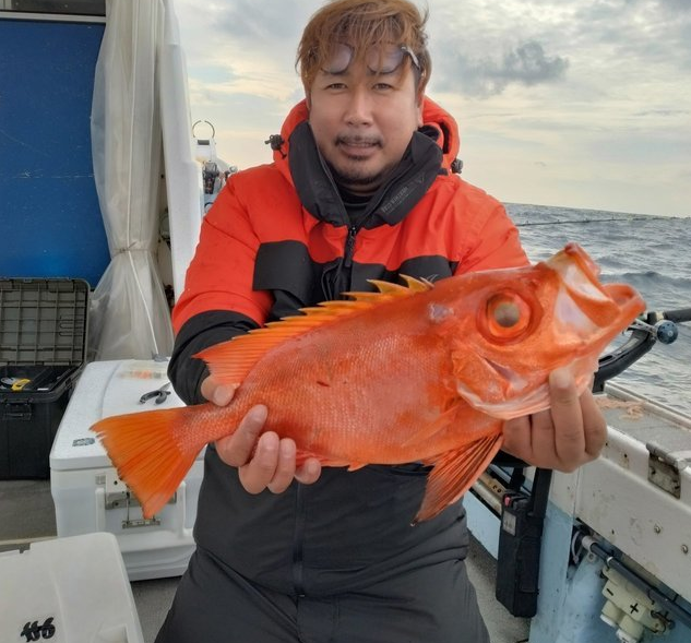 魚のアップ写真