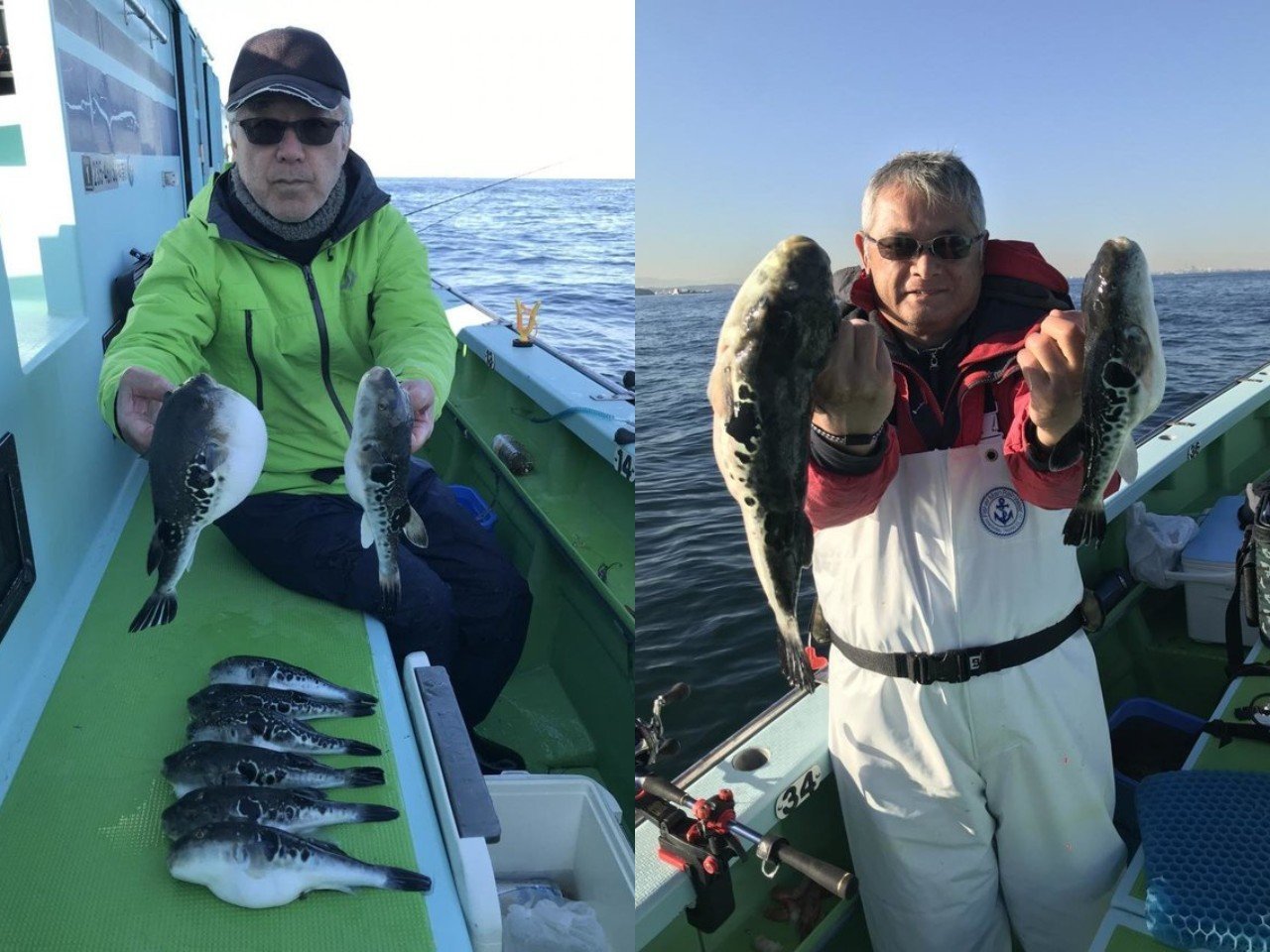 【釣果速報】神奈川県野毛屋釣船店でトラフグが好調！TOP8匹！味も極上な今が乗船どき！