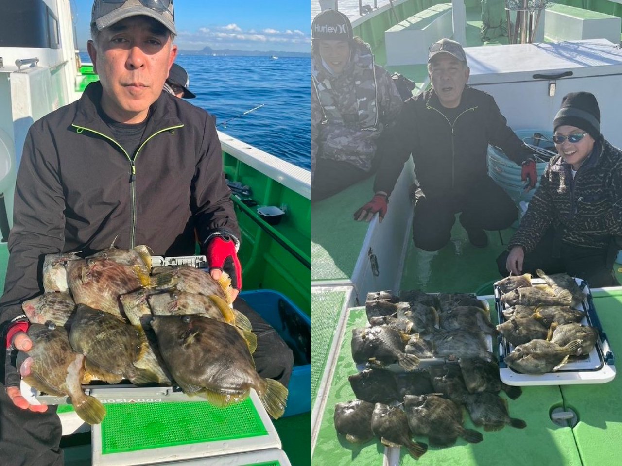 【釣果速報】28cmの良型カワハギをキャッチ!神奈川県あまさけや丸の船長が厳選したポイントで人生最大のカワハギを捕まえよう!