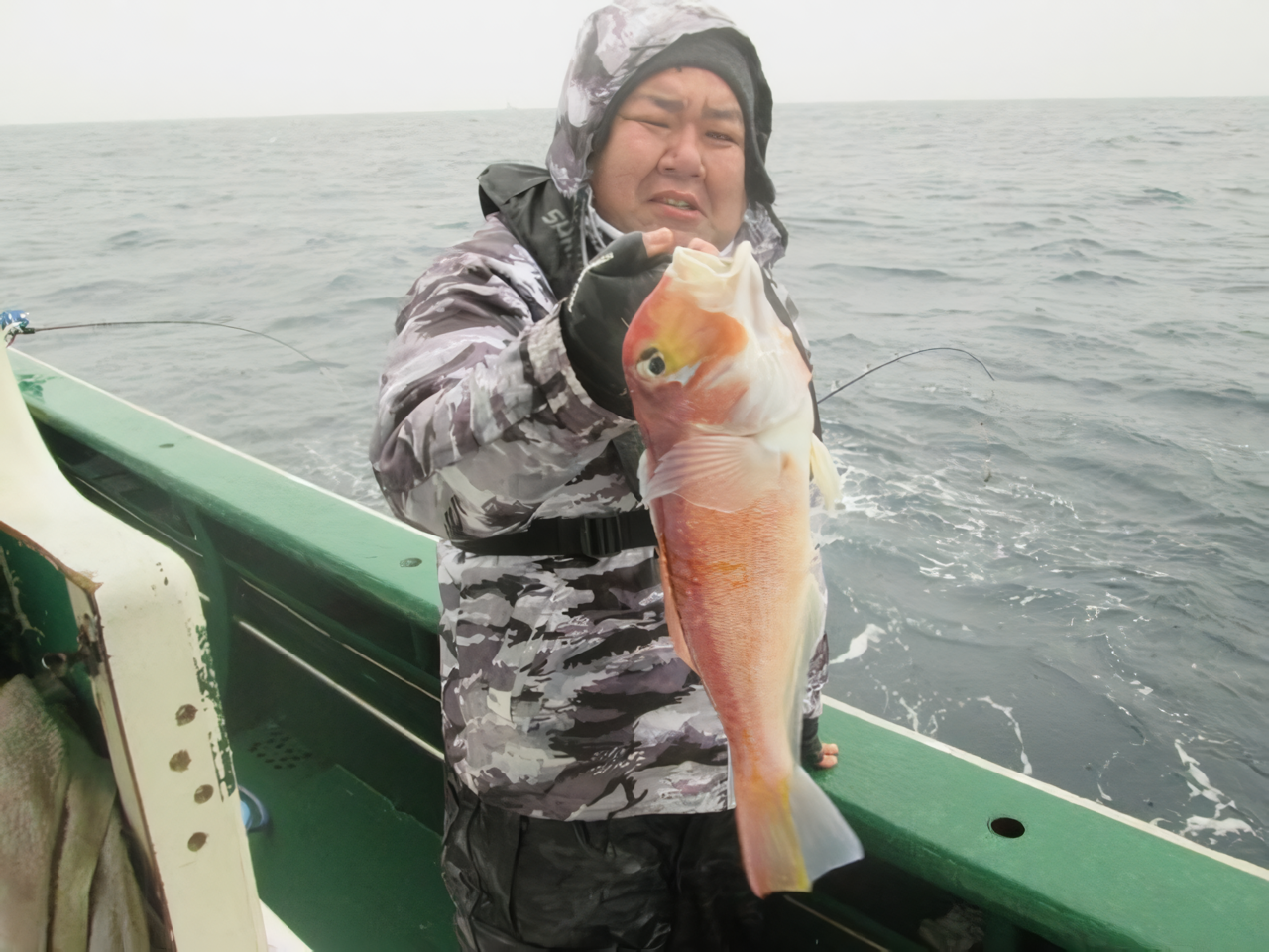 【釣果速報】船中41匹！新潟県なかくに丸で高級魚アマダイが大ヒット！釣り人が憧れる幻のターゲットをその手でゲットせよ！