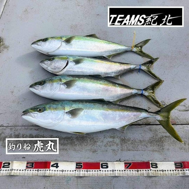 釣果