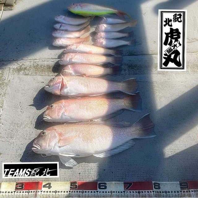 釣果