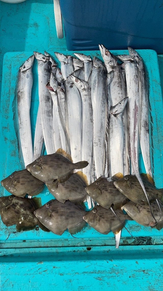 釣船のんちゃん