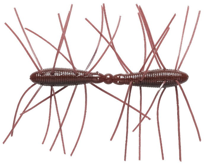 ワームのアップ写真