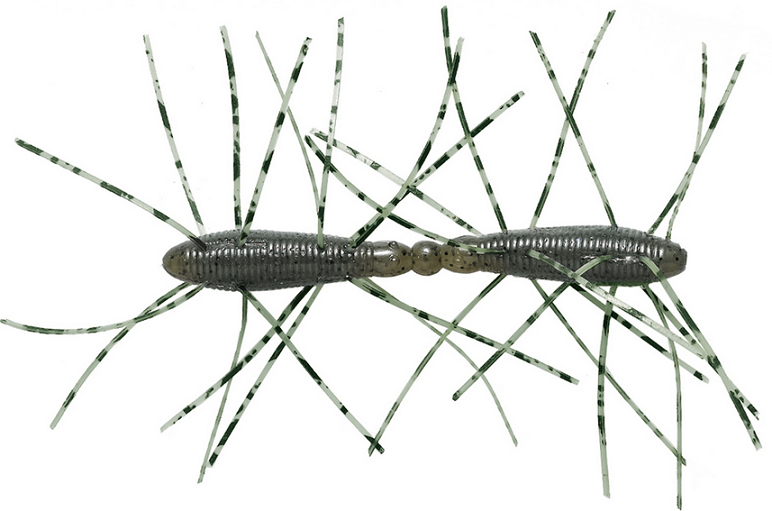 ワームのアップ写真