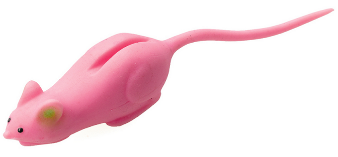 ワームのアップ写真