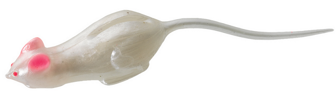 ワームのアップ写真