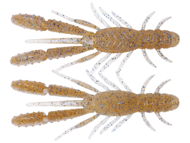 ワームのアップ写真