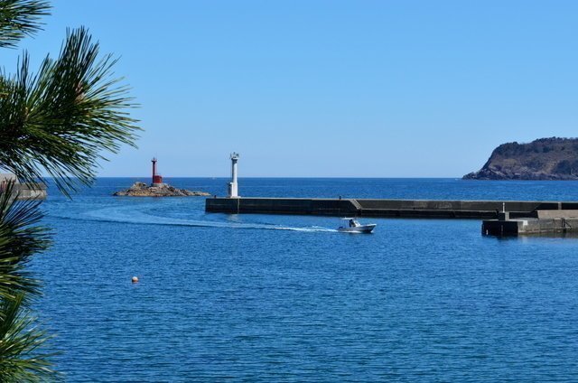 漁港　釣り場　海　アジング
