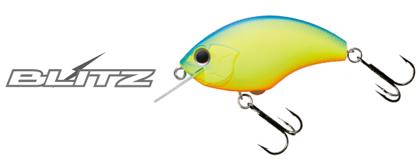 ルアーのアップ写真