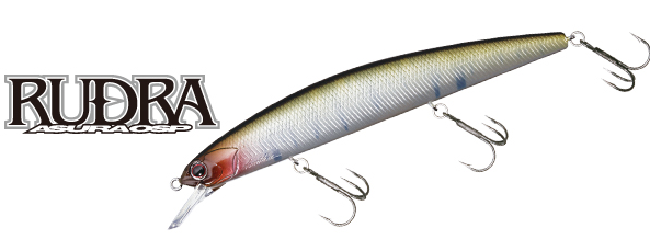 ルアーのアップ写真