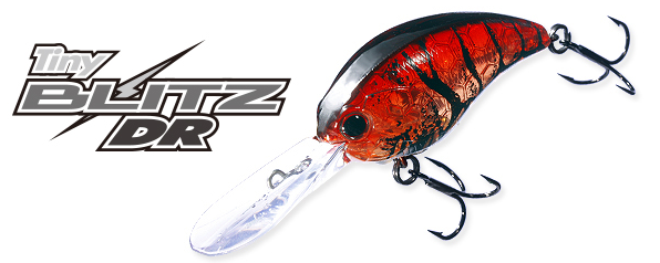 ルアーのアップ写真