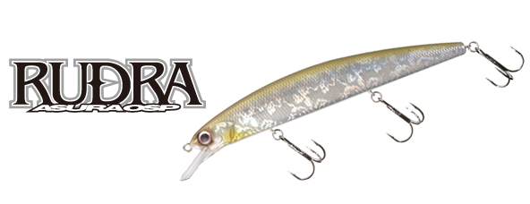 ルアーのアップ写真