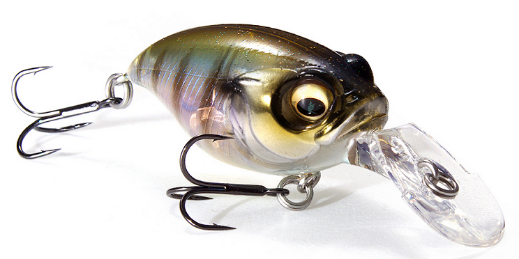 ルアーのアップ写真