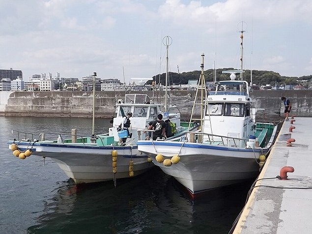 港と乗合船の写真