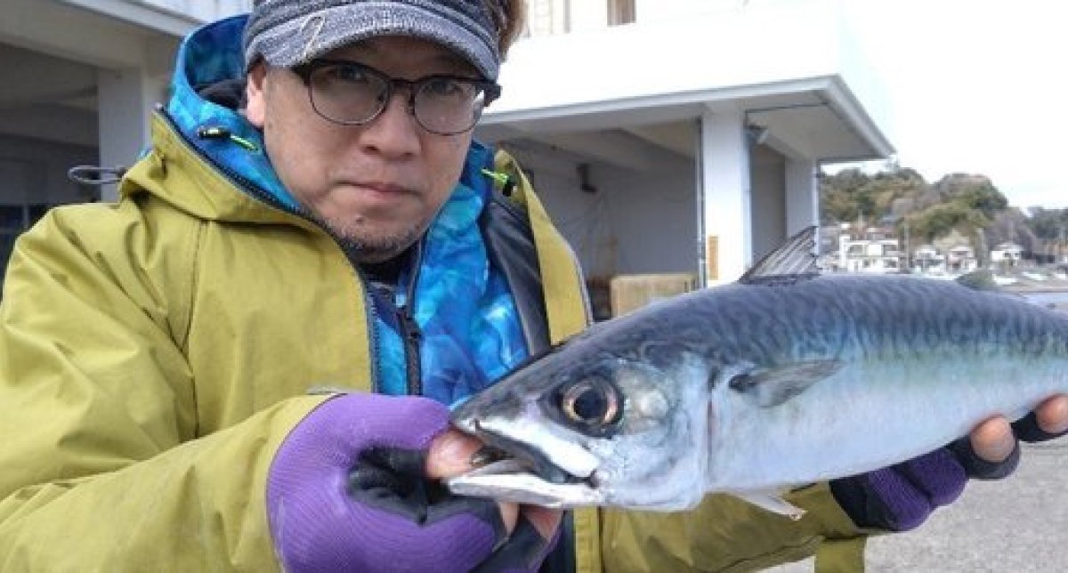 【釣果速報】寒サバがクーラーにぎっしり！千葉県不動丸で質も量も大満足の釣行を楽しもう！