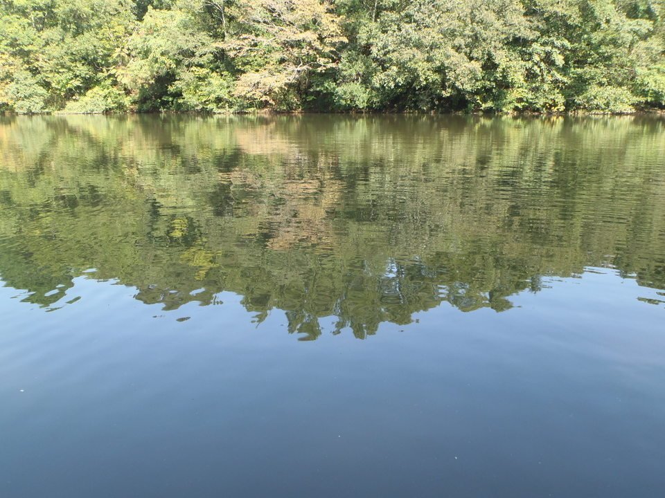 水面　満水　写真
